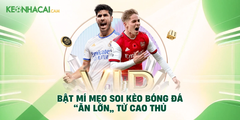 Bật mí mẹo soi kèo bóng đá “ăn lớn” từ cao thủ
