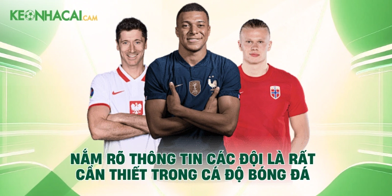 Nắm rõ thông tin các đội là rất cần thiết trong cá độ bóng đá