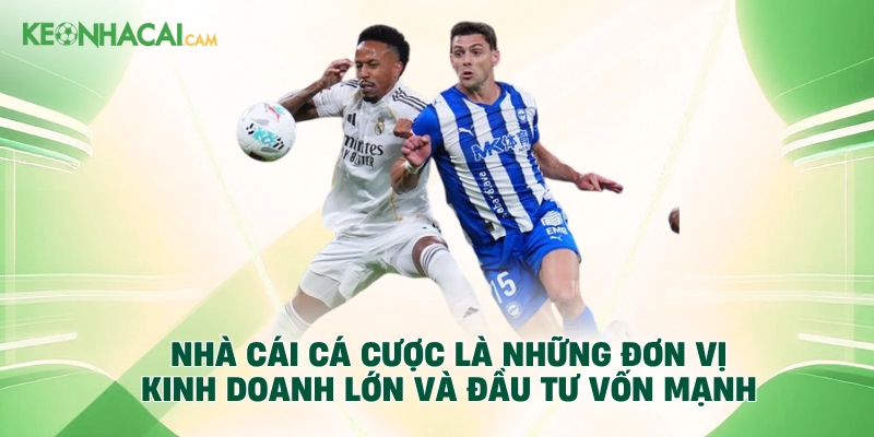Nhà cái cá cược là những đơn vị kinh doanh lớn và đầu tư vốn mạnh